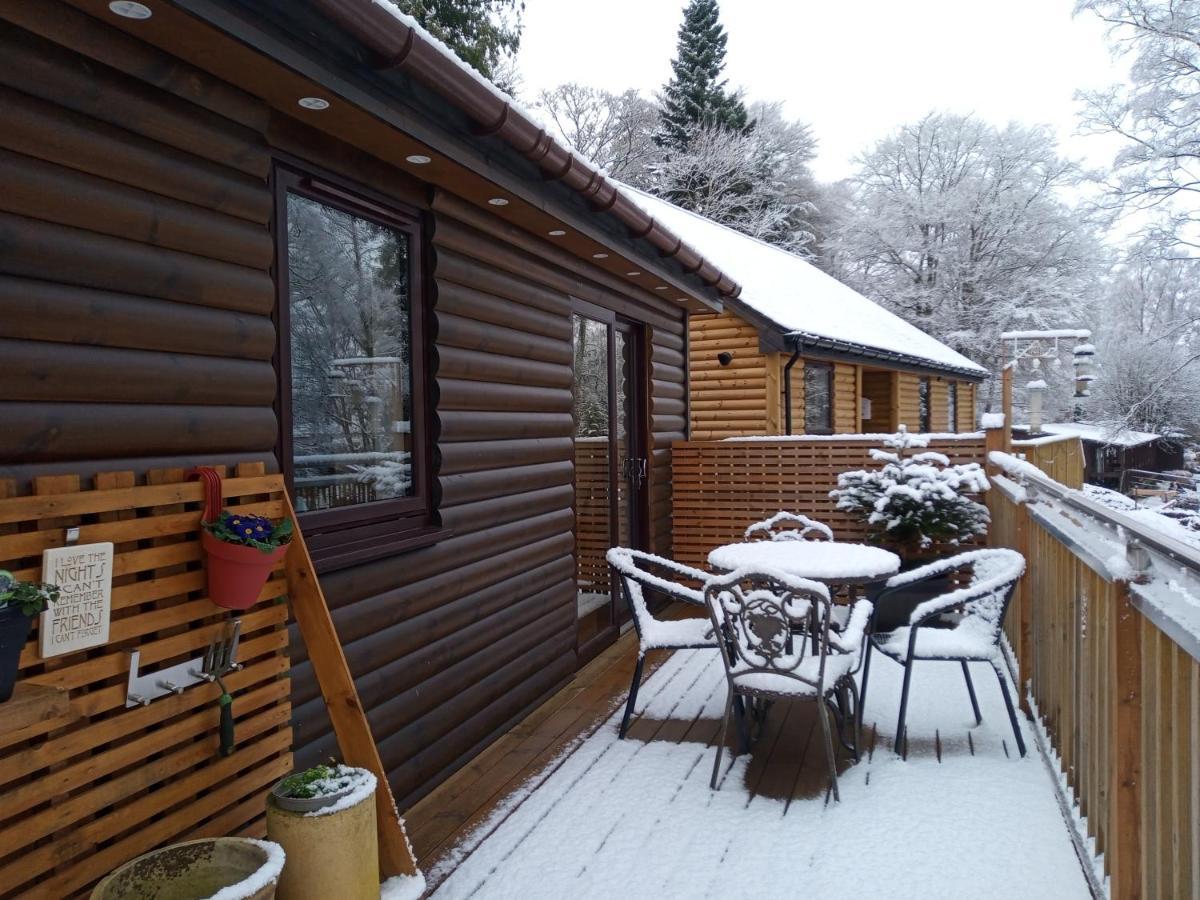 Charming Lodge Cosy Comfortable Ideal Location Blairgowrie and Rattray Exteriör bild